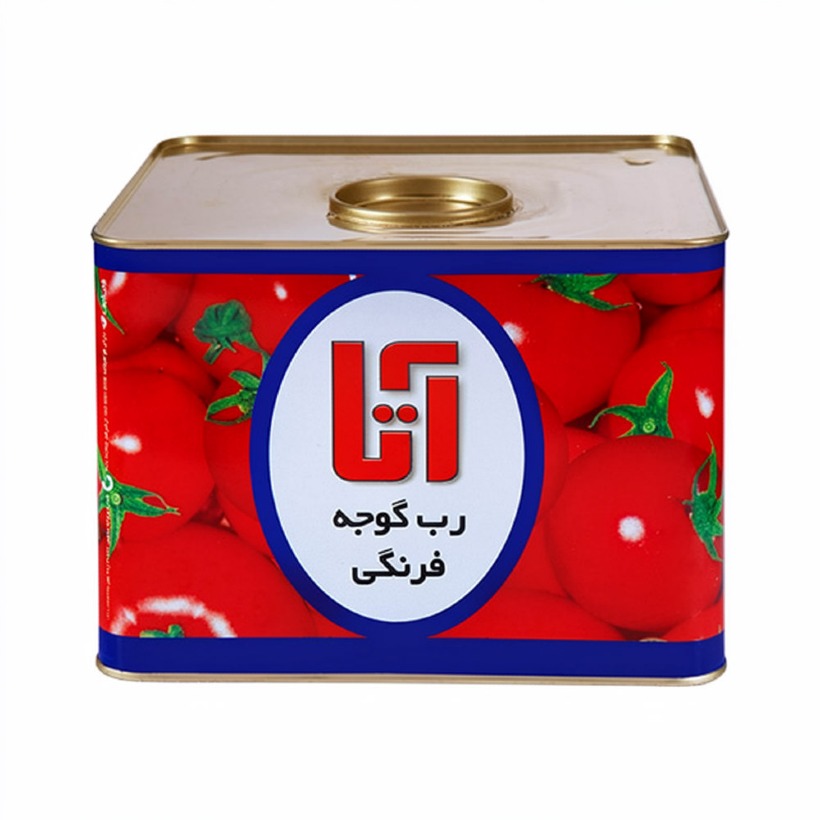 کنسرو رب گوجه فرنگی آتا وزن 9 کیلوگرمی (1 عدد)